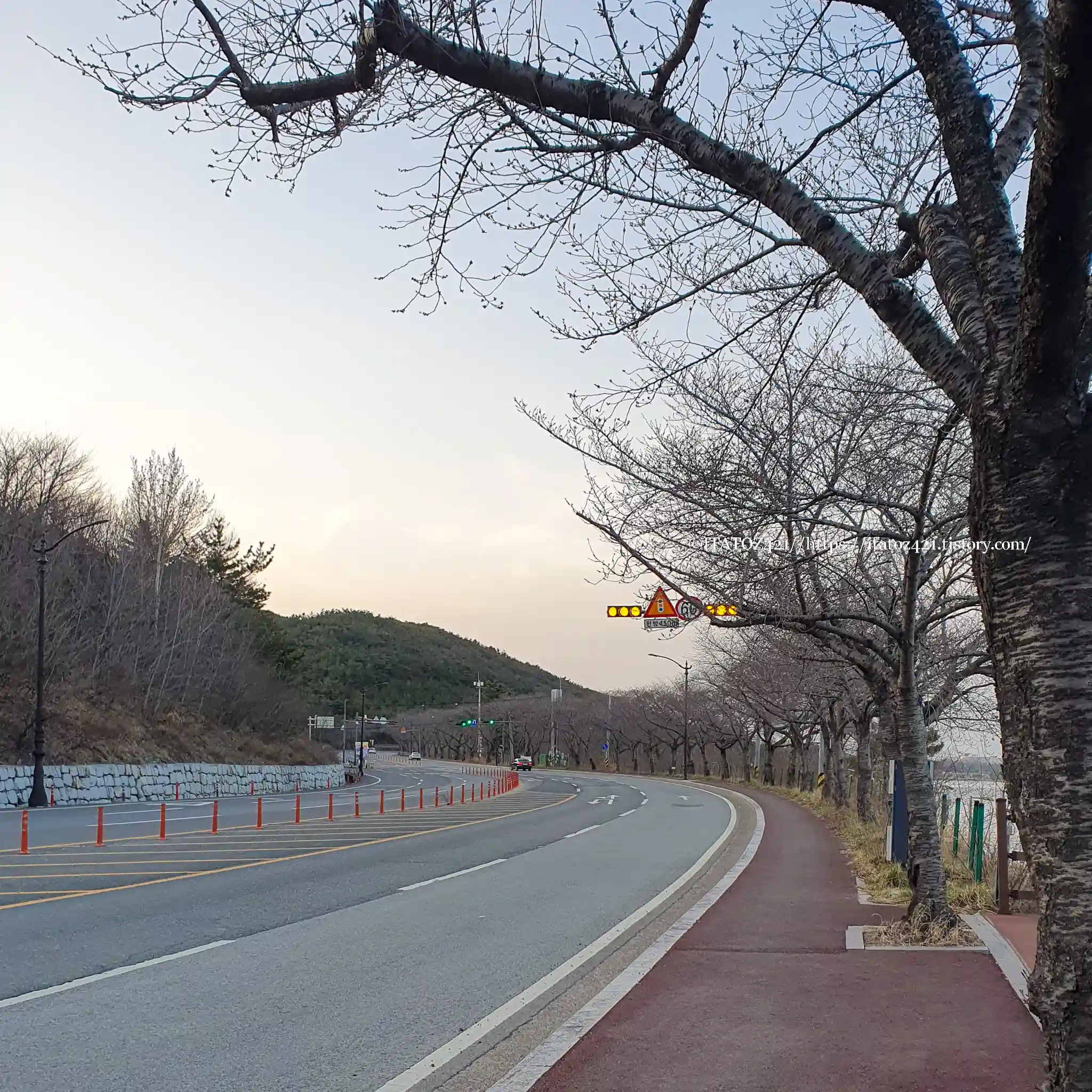 국내 벚꽃 여행지 경주 보문호