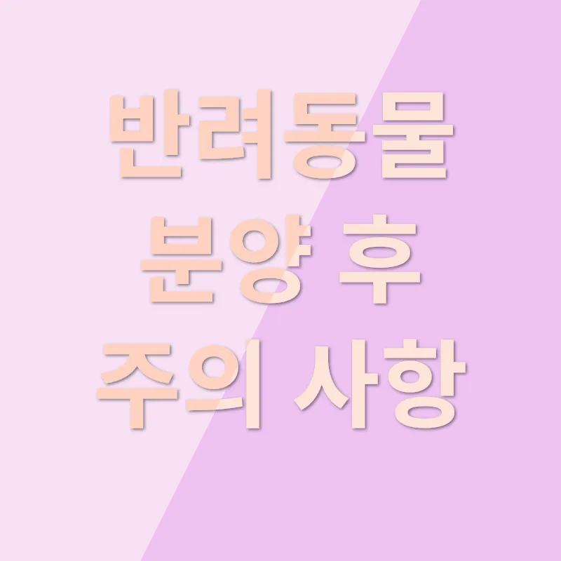 반려동물 분양_3