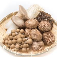 가을 제철 음식 - 면역력을 지키는 마법의 식재료 버섯