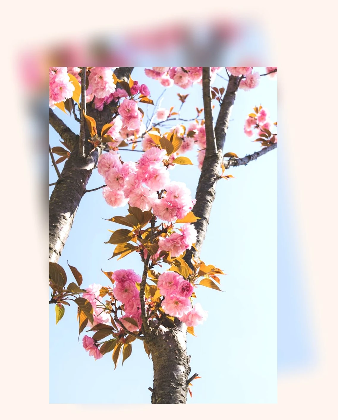 경주 루지월드_2_subsection