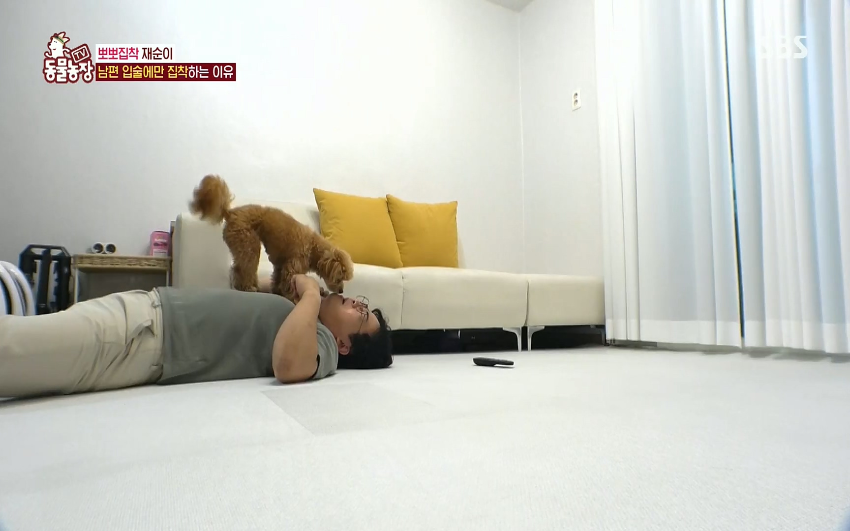 TV 동물농장.E1078.220717p.H264-F1RST.mp4_20220717_151137.086.jpg