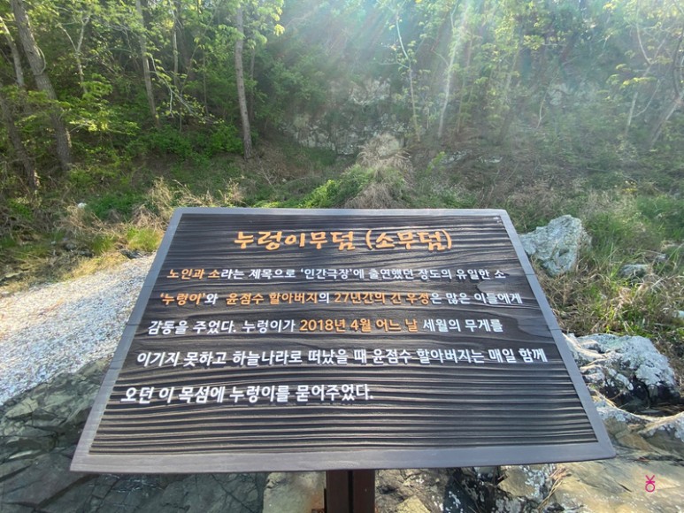 가고싶은 섬 가고싶은섬, 꼬막길과 뻘배길이 32