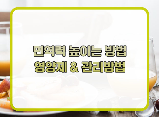  면역력이 높이는 방법과 면역력에 좋은 영양제 & 관리방법