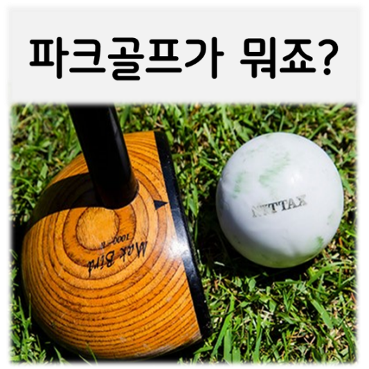  파크골프가 뭐죠?