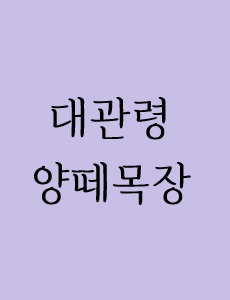 대관령 양뗴목장에 관한 이미지 입니다.