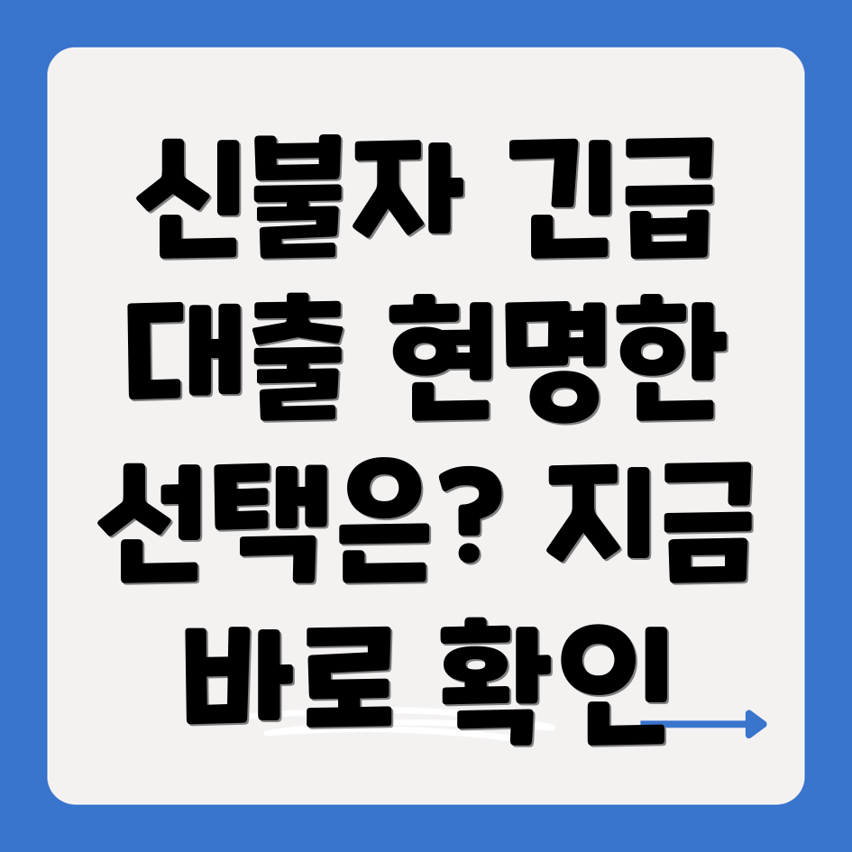 신불자 급전