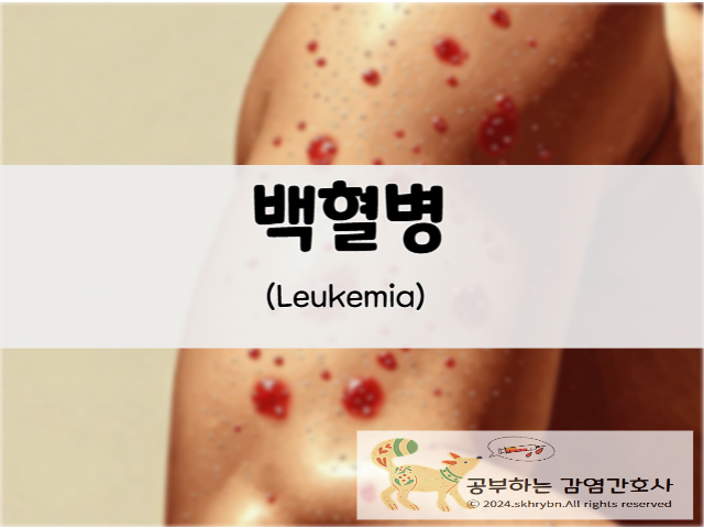 성인 간호_백혈병(leukemia)원인, 증상, 치료