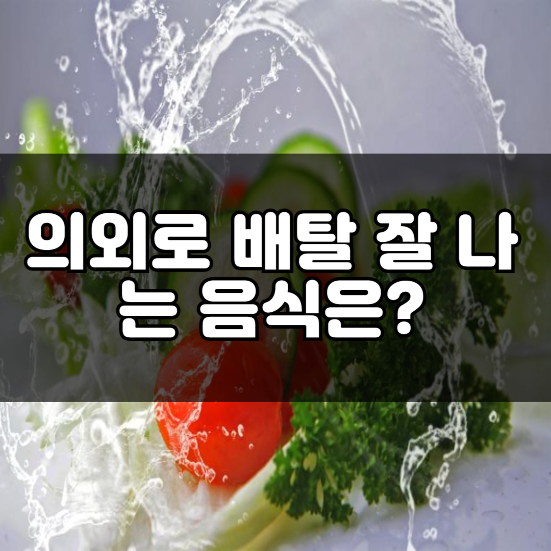 식중독 원인 5가지, 과일 체소 세척 보관 방법, 의외로 배탈 잘 나는 음식은?