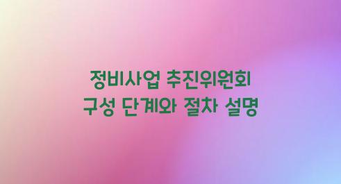 정비사업 추진위원회 구성