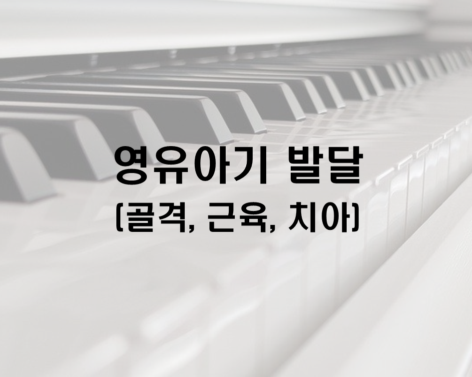  영유아기 골격, 근육, 치아의 발달