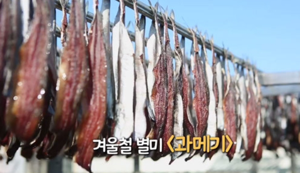 일출과메기 이미지