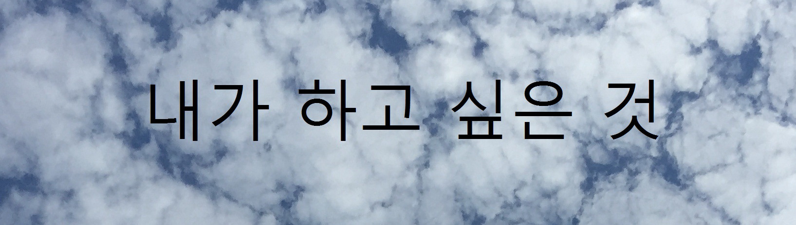  내가 하고 싶은 것