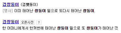 더블 트윈 사전 의미
