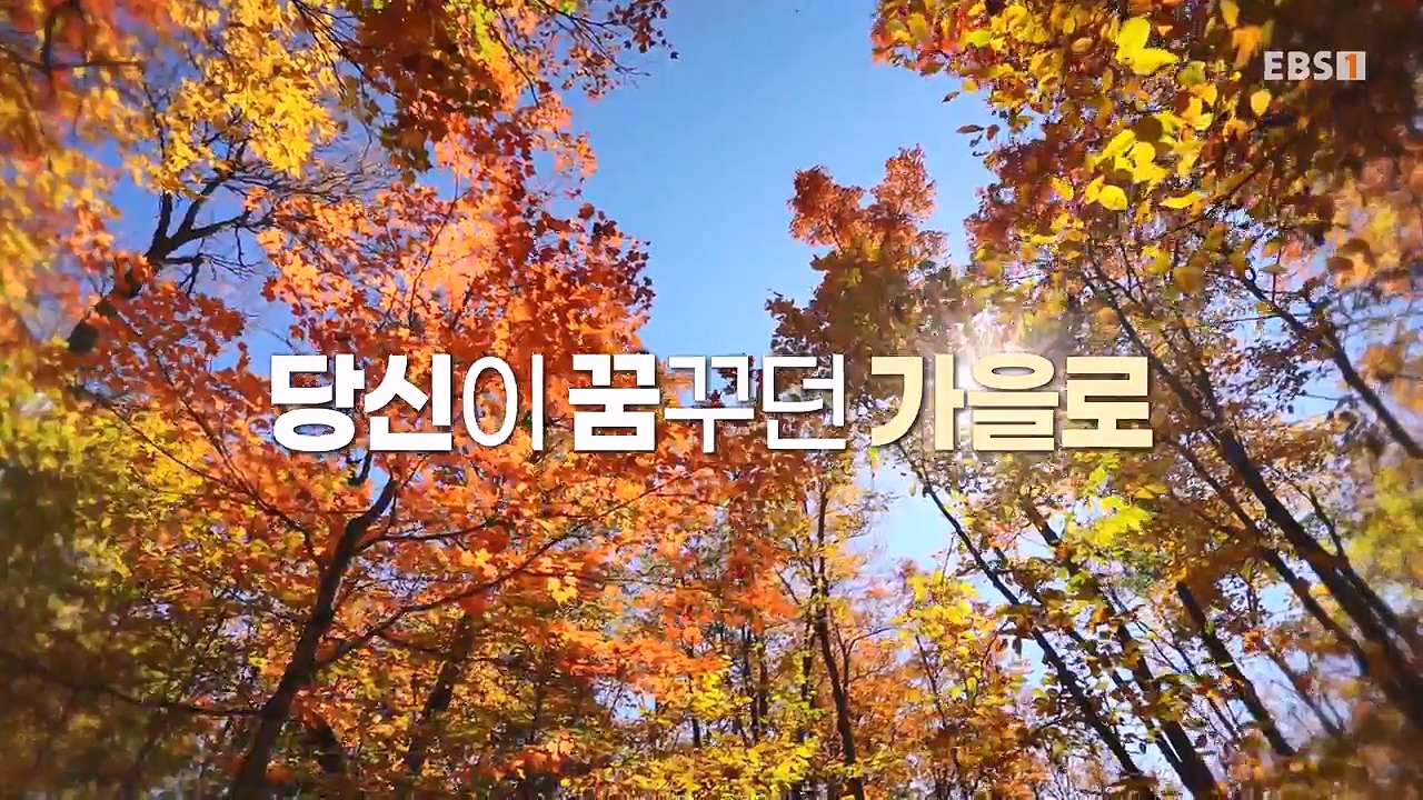 세상의모든기행꿈꾸던 가을로 캐나다 동부-다시 올 이유, 단풍국.mp4_20231127_202241.885.jpg