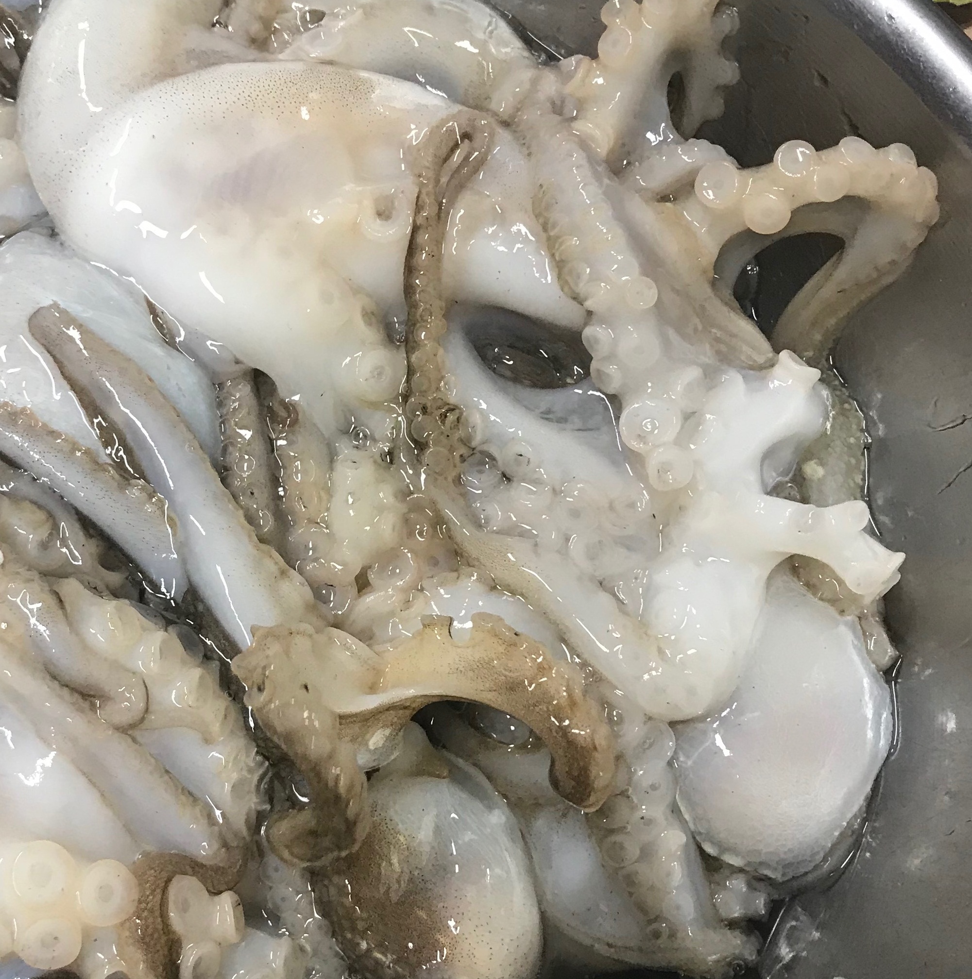  제철음식 주꾸미를 먹으면 벌어지는 일!