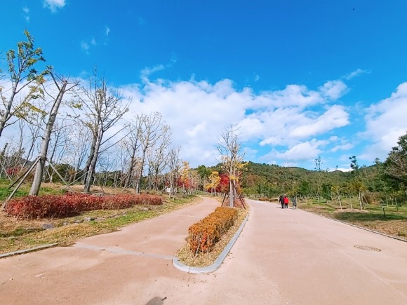 #부산 아이와가 볼만한 바다 운대수목원 10