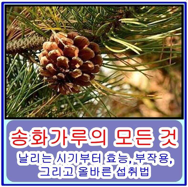 송화가루