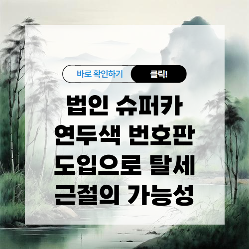 법인 슈퍼카 연두색 번호판 도입으로 탈세 근절의 가능성