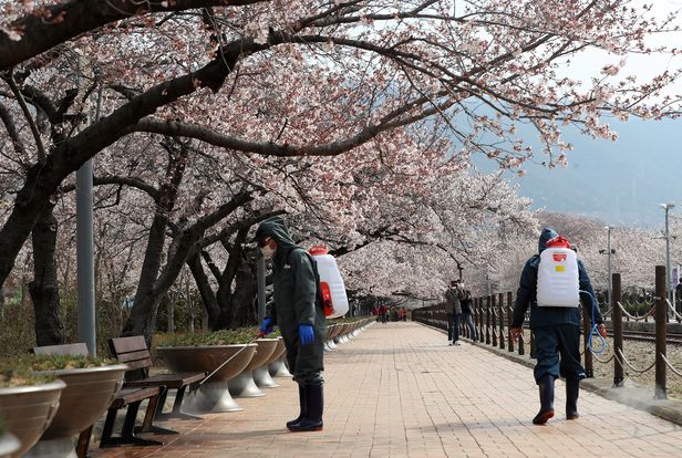 진해 군항제 벚꽃축제 안내 (2023 최신버전) 64