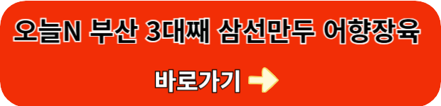 오늘N-부산-삼선만두