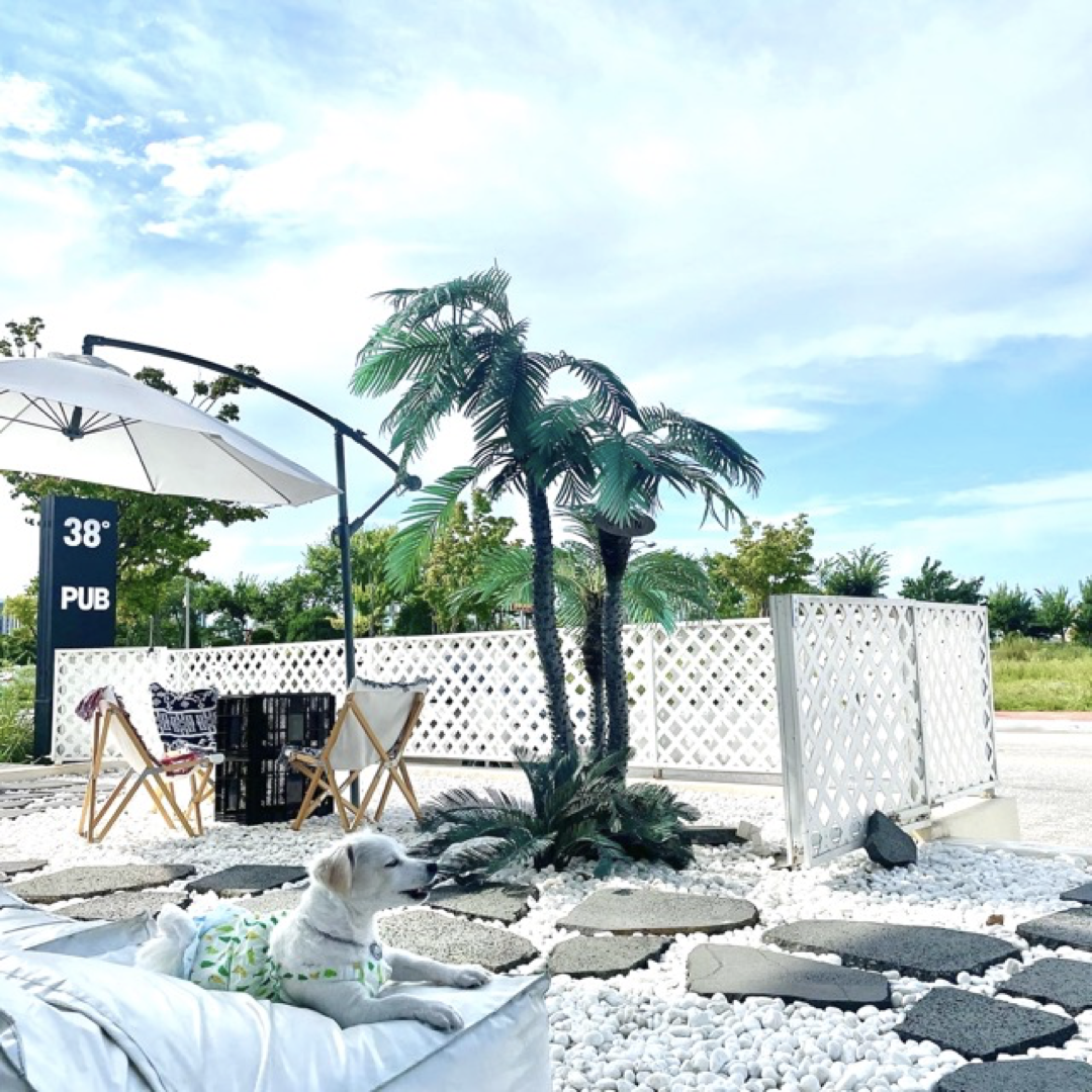 가볼만한곳 속초 38DEGREE 2