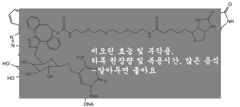  비오틴 효능 및 부작용, 하루 권장량 및 복용시간, 많은 음식-알아두면 좋아요