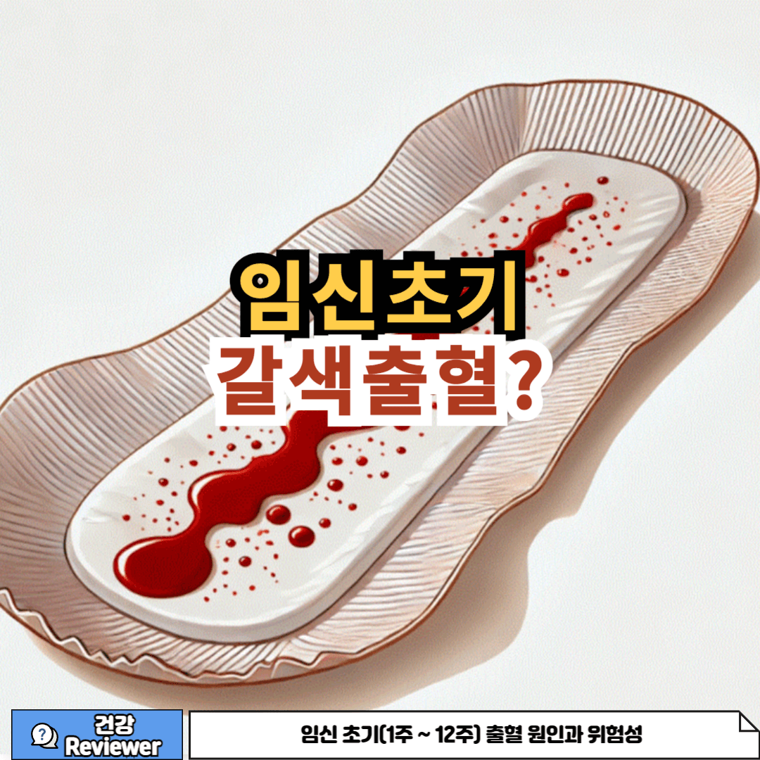 임식 초기 갈색 출혈의 의미에 관한 사진