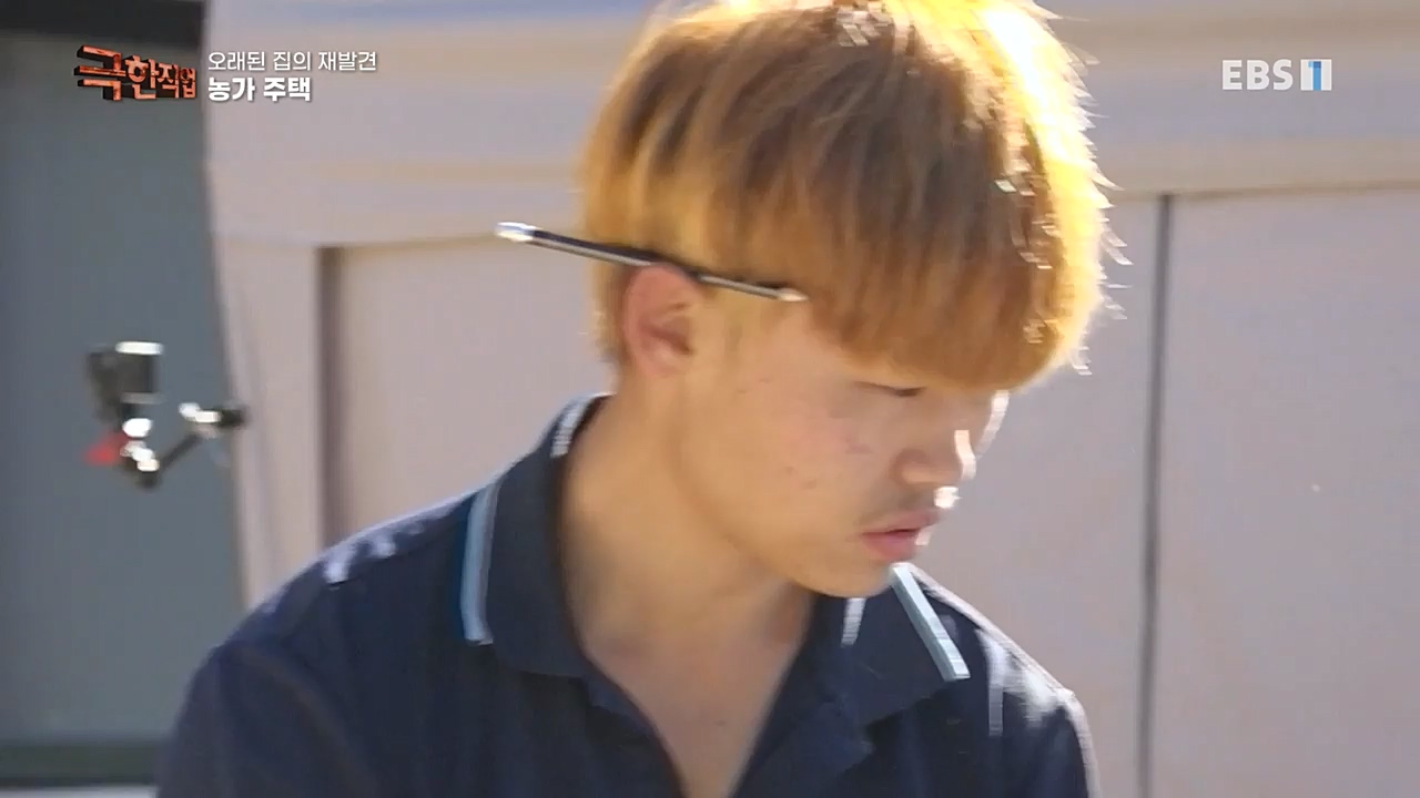 TV - 교육의 중심 EBS오래된 집의 재발견 농가와 도심 주택.mp4_20221120_152001.585.jpg