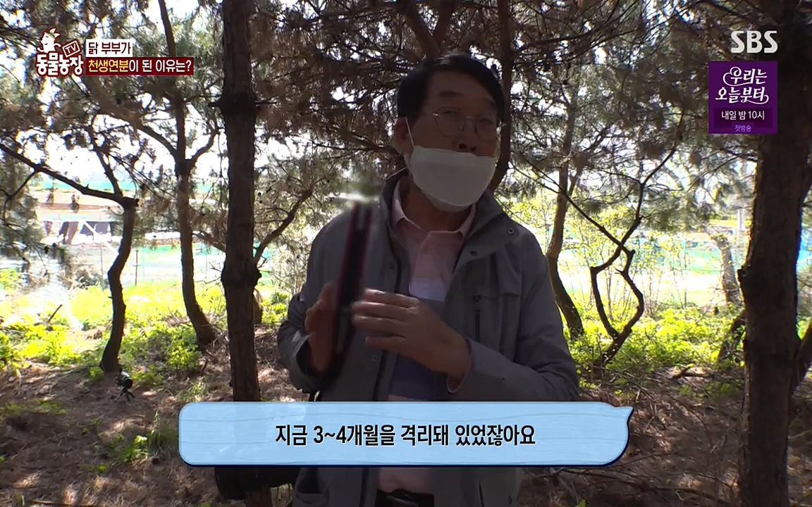 TV 동물농장.E1068.220509p-NEXT.mp4_20220508_173824.248.jpg
