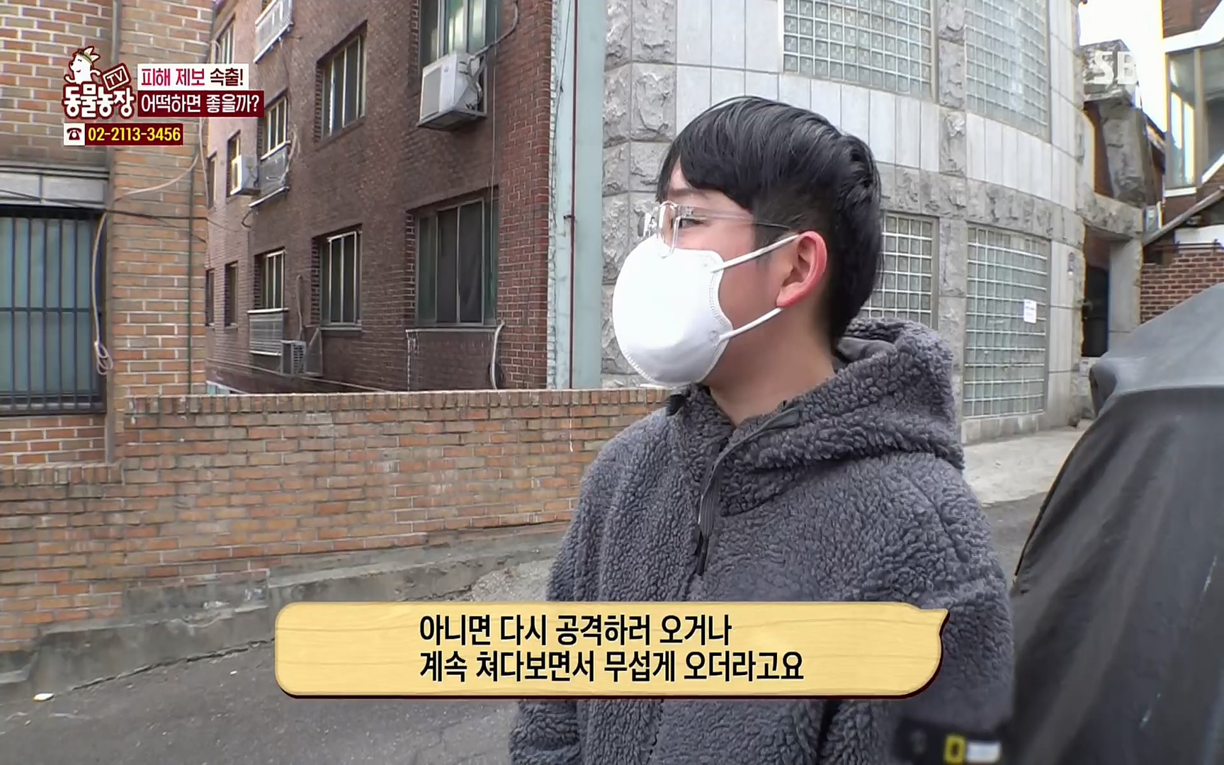 TV 동물농장.E1062.220327p.H264-F1RST.mp4_20220327_174439.375.jpg