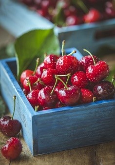 노년기 수면 장애 원인 예방법 수면장애에 좋은 음식