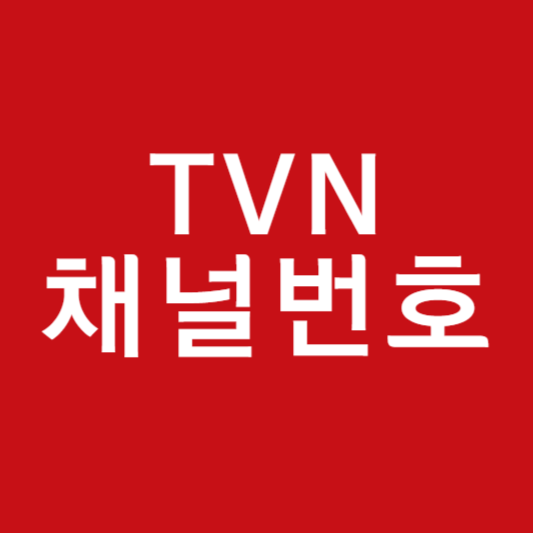 tvn 채널번호