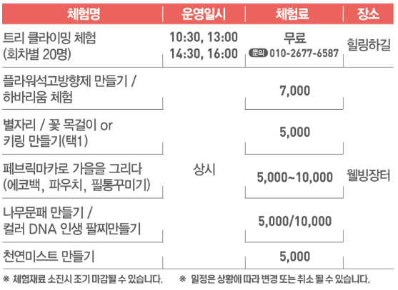 인제 가을꽃축제 주차장 프로그램 안내 2024