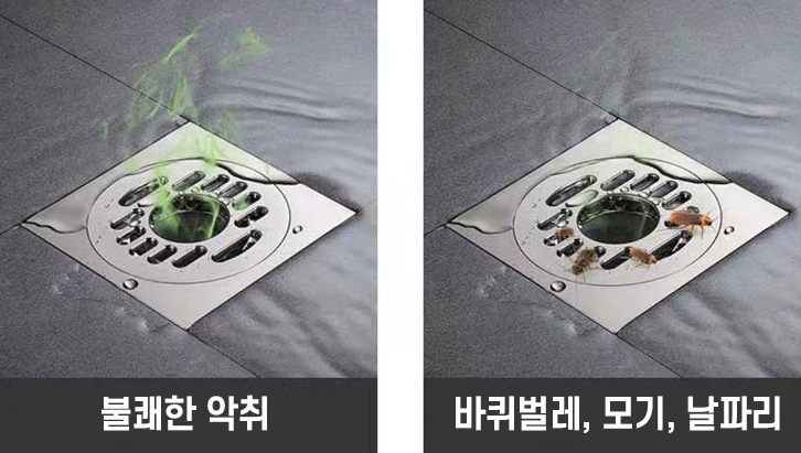 앙플러스 이미지