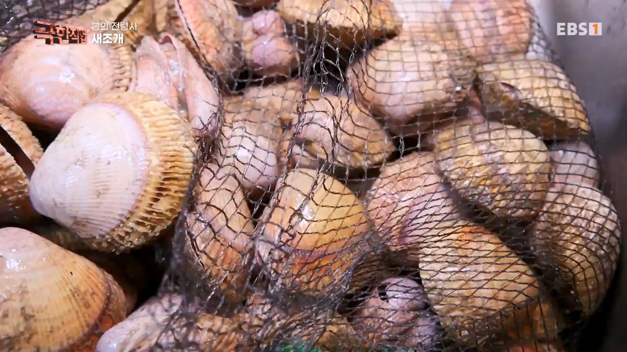 TV - 전 국민의 평생학교 EBS봄의 전령사! 새조개, 미나리, 주꾸미.mp4_20240316_171243.593.jpg