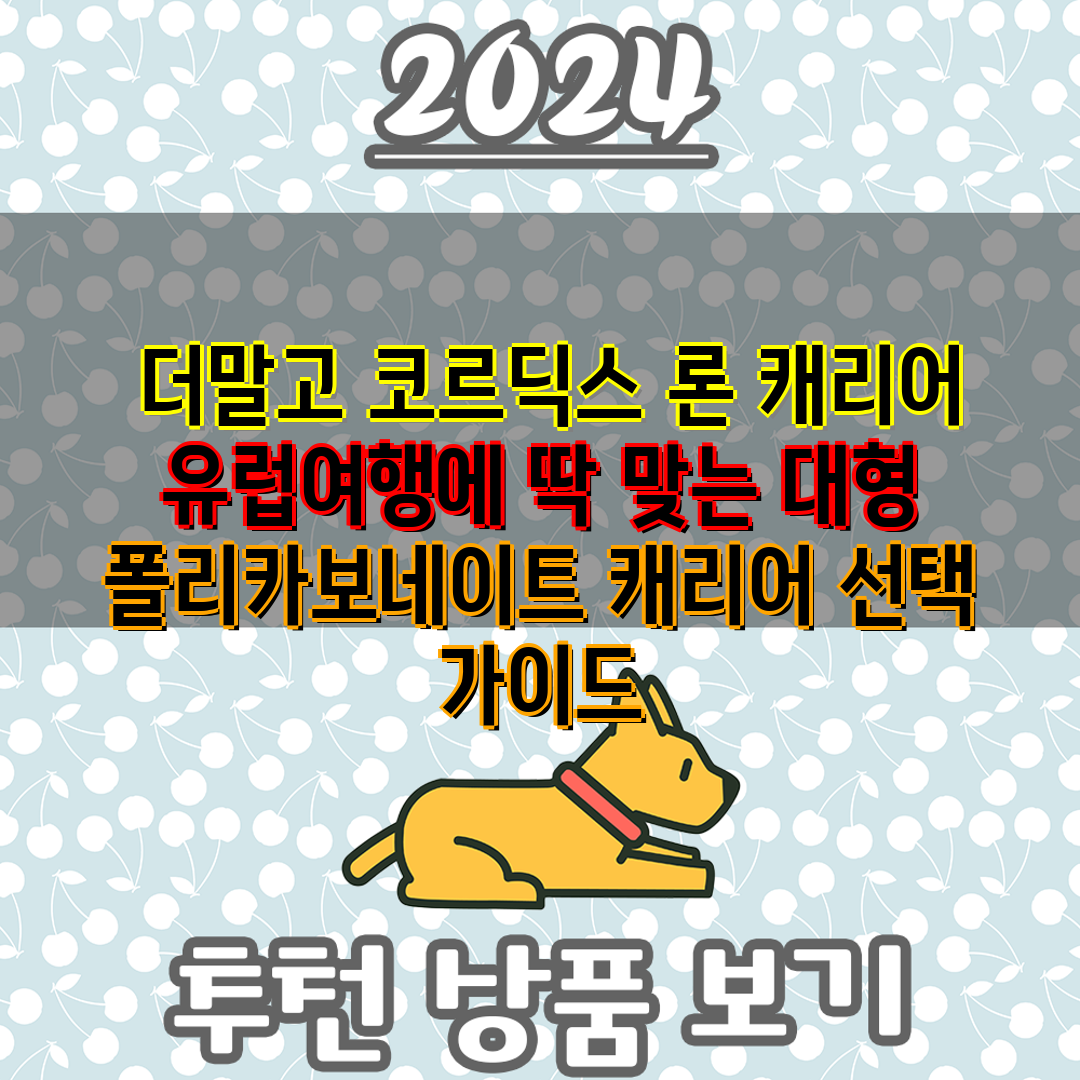  더말고 코르딕스 론 캐리어 유럽여행에 딱 맞는 대형 