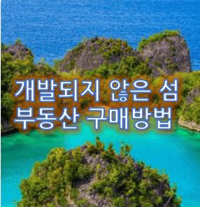 개발되지-않은-섬-부동산-구매방법