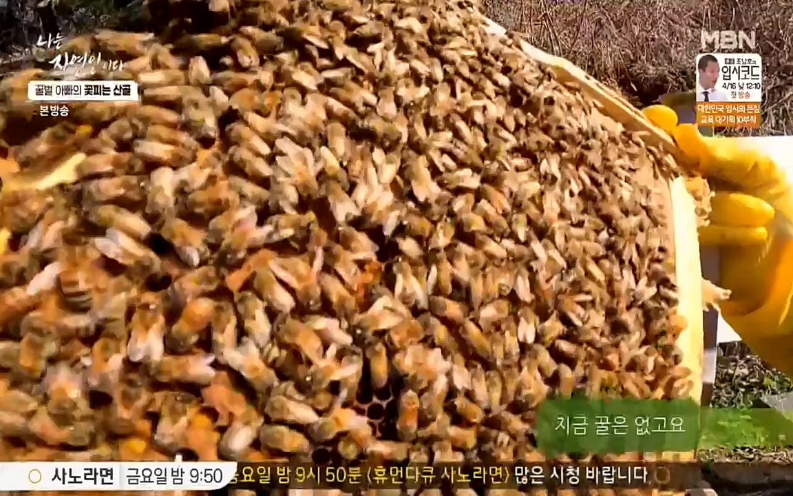 나는 자연인이다.E497.220414p-NEXT.mp4_20220414_182318.020.jpg