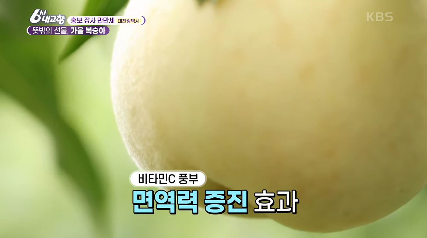 6시내고향 '설아복숭아' 이미지