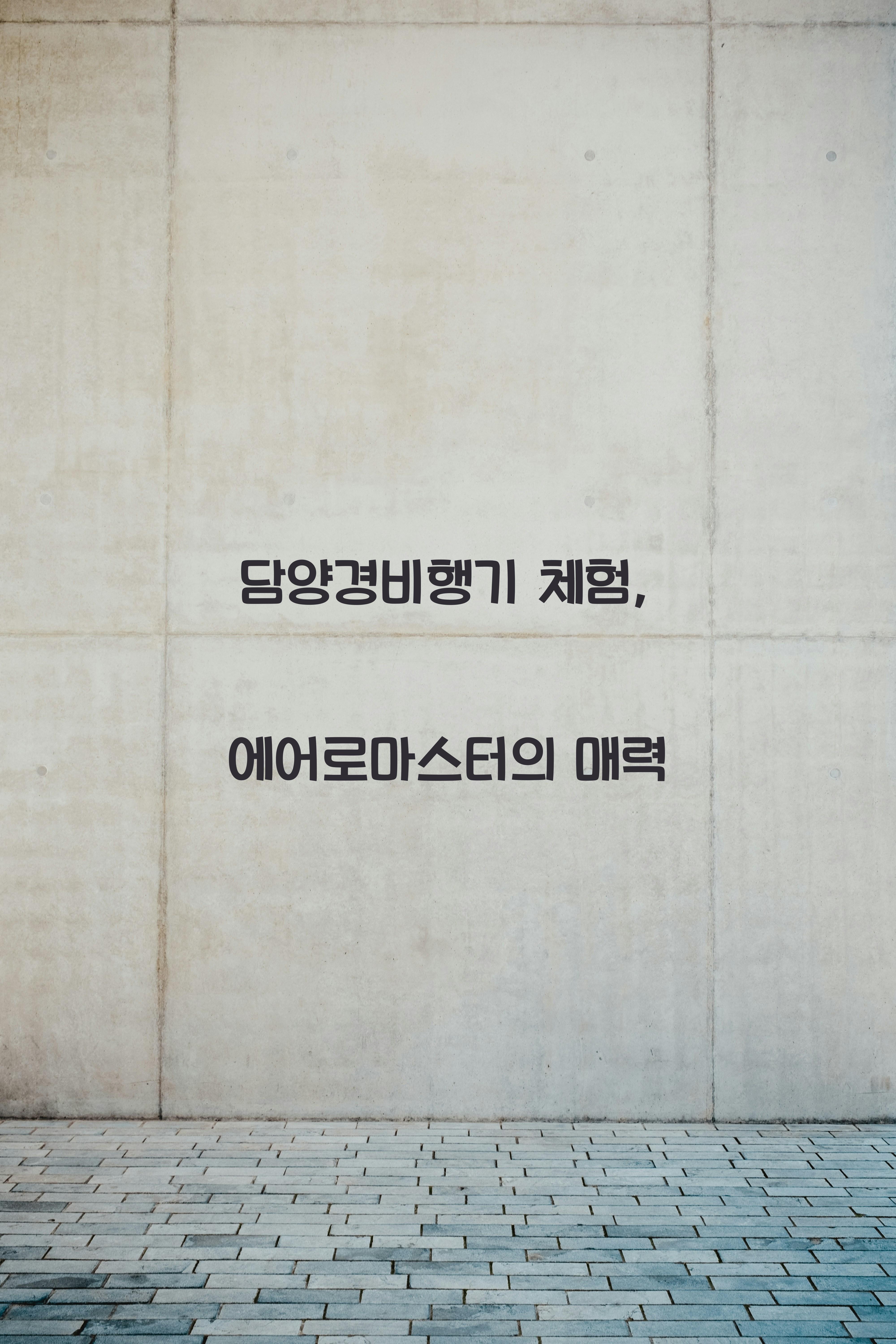 담양경비행기