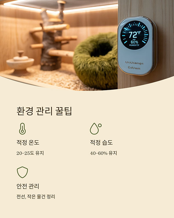돌보기의 꿀팁