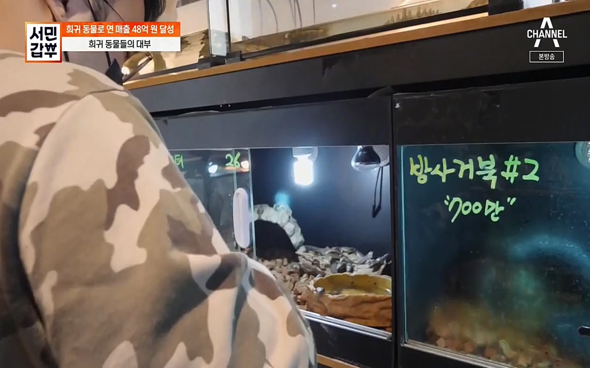 서민 갑부.E381.220431p-NEXT.mp4_20220501_180717.368.jpg