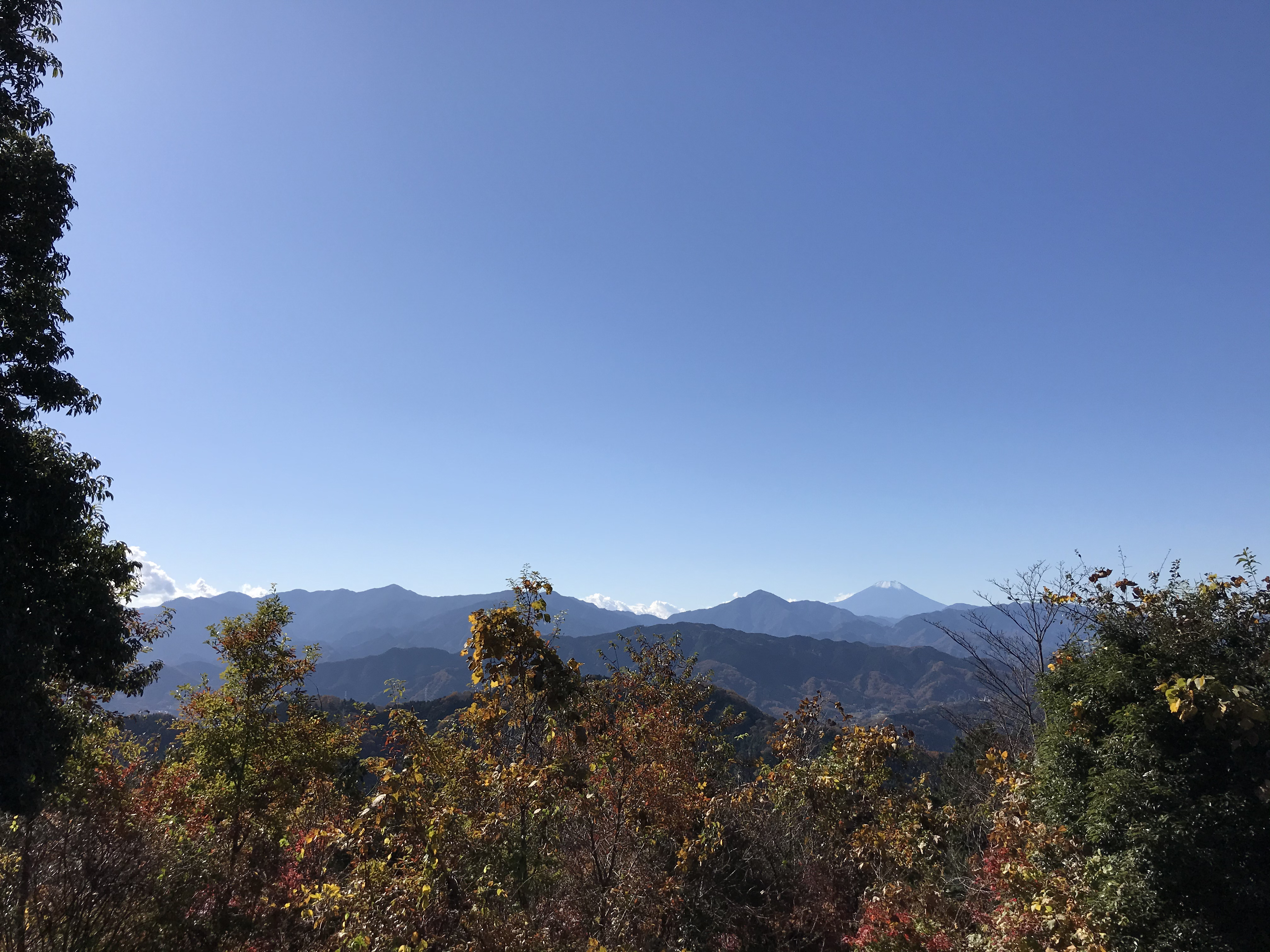 타카오산풍경_후지산