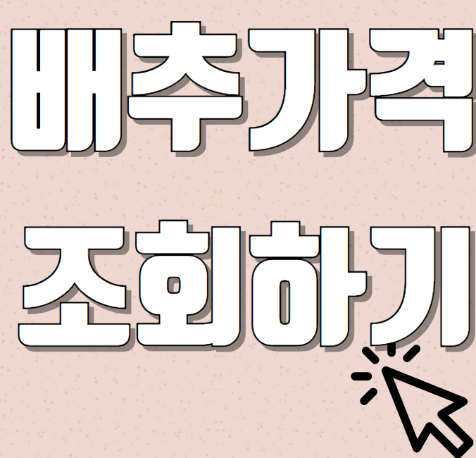 배추값 조회하기 및 폭등원인