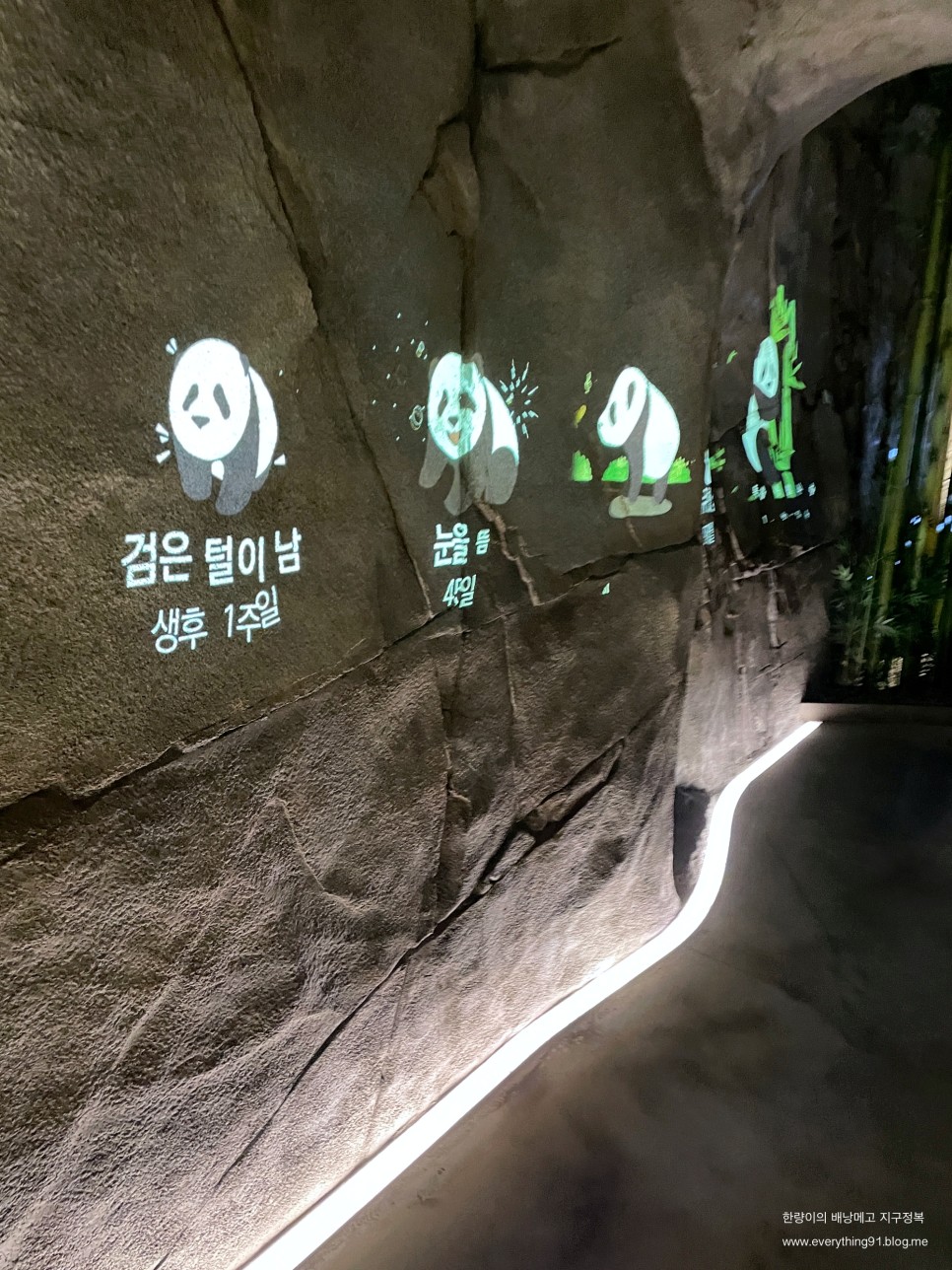할인 레니 찬스로 판다 월드 에버랜드 자유이용권 26