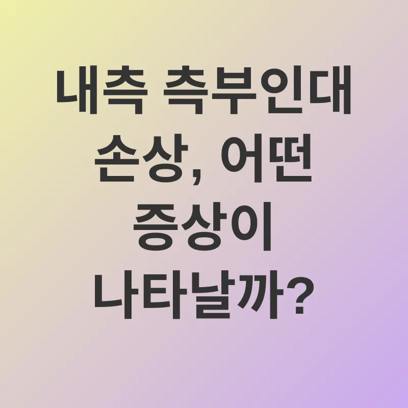무릎 건강_2