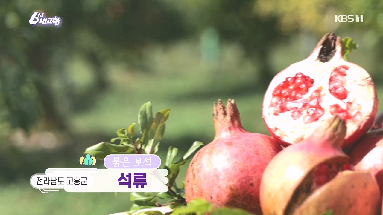 6시 내고향.E7892.231018p.H264-F1RST.mp4_20231018_192311.664.jpg
