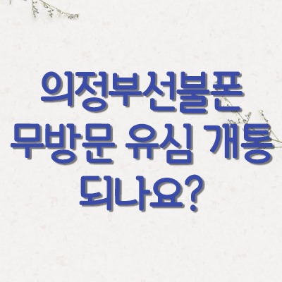  의정부선불폰 무방문 유심 개통되나요?