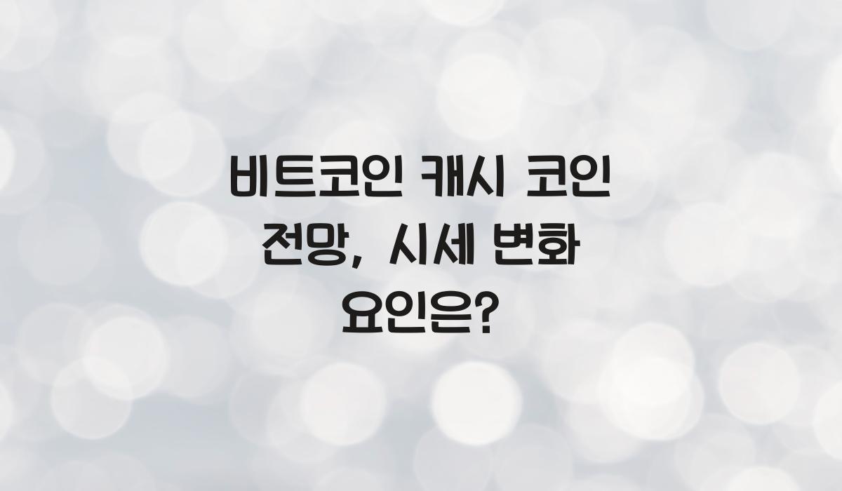 비트코인 캐시 코인 전망