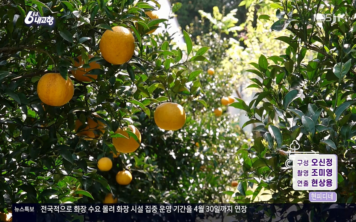 6시 내고향.E7523.220421p-NEXT.mp4_20220507_181109.437.jpg